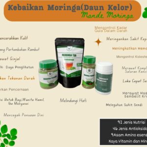 Teh Celup Daun Kelor 20 Kantong